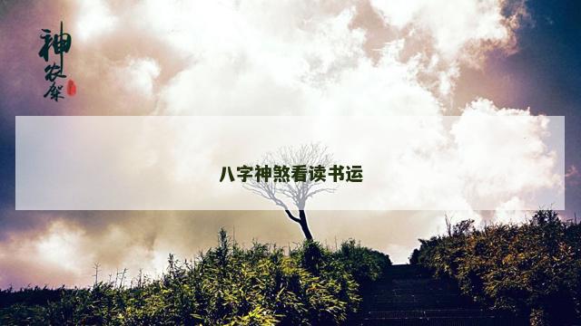 八字神煞看读书运
