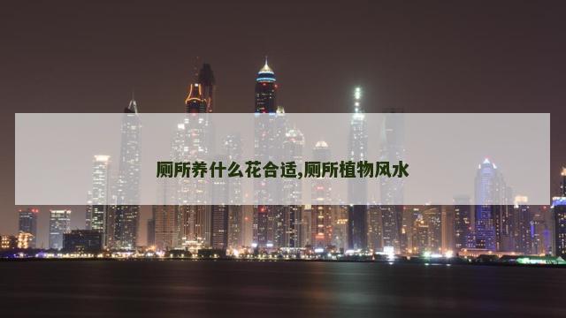 厕所养什么花合适,厕所植物风水