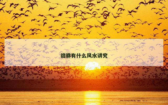 貔貅有什么风水讲究