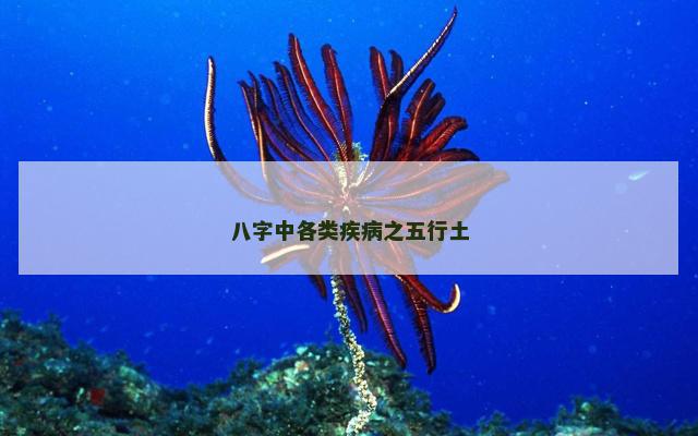 八字中各类疾病之五行土