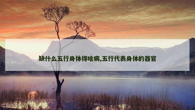 缺什么五行身体得啥病,五行代表身体的器官