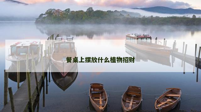 餐桌上摆放什么植物招财