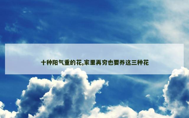 十种阳气重的花,家里再穷也要养这三种花