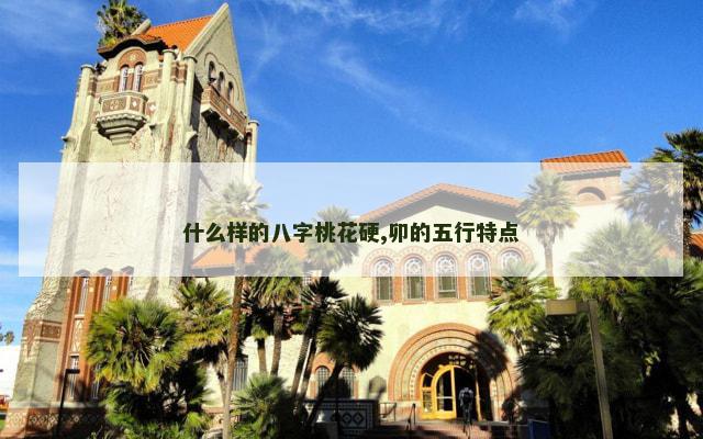 什么样的八字桃花硬,卯的五行特点