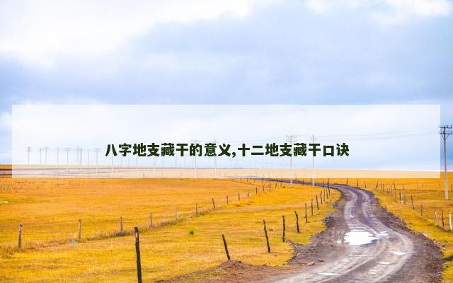 八字地支藏干的意义,十二地支藏干口诀