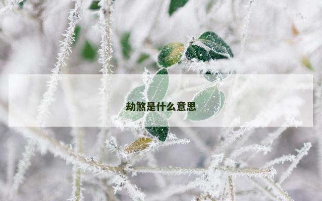 劫煞是什么意思