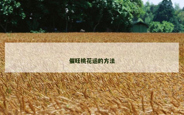 催旺桃花运的方法