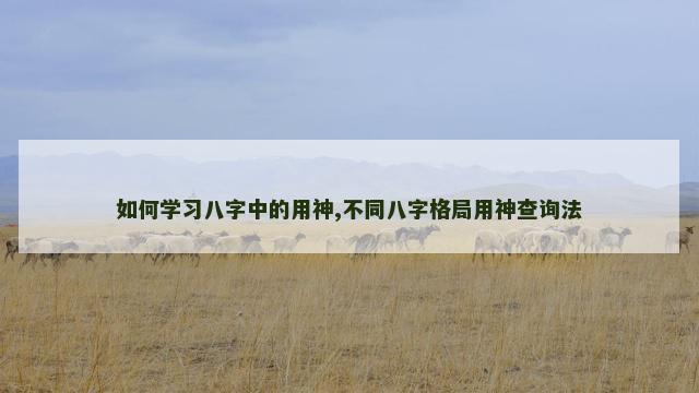 如何学习八字中的用神,不同八字格局用神查询法