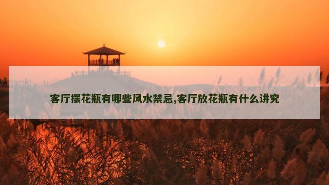 客厅摆花瓶有哪些风水禁忌,客厅放花瓶有什么讲究