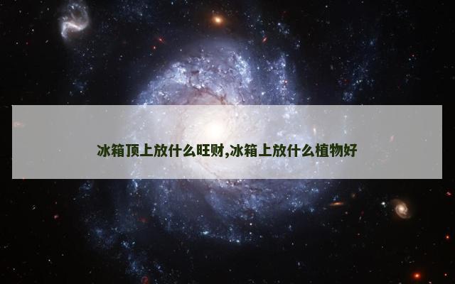 冰箱顶上放什么旺财,冰箱上放什么植物好