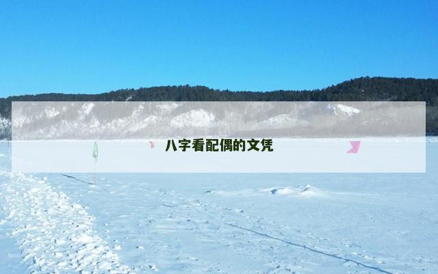 八字看配偶的文凭