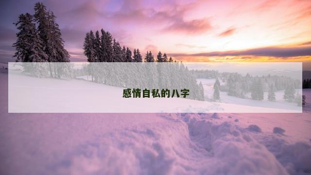 感情自私的八字