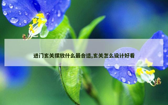 进门玄关摆放什么最合适,玄关怎么设计好看