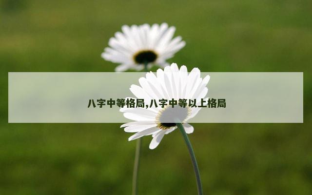 八字中等格局,八字中等以上格局