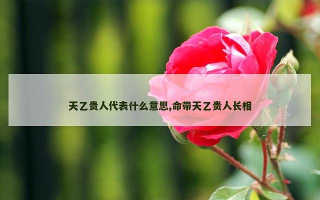 天乙贵人代表什么意思,命带天乙贵人长相