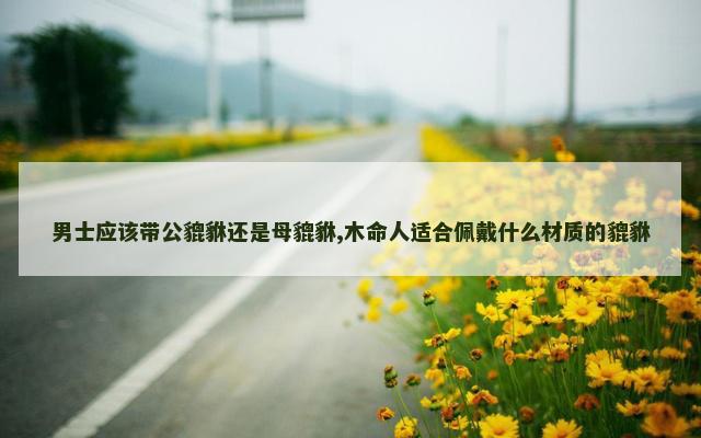 男士应该带公貔貅还是母貔貅,木命人适合佩戴什么材质的貔貅