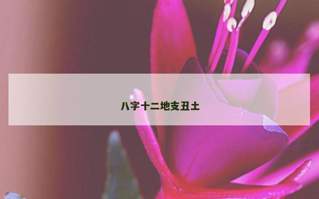 八字十二地支丑土