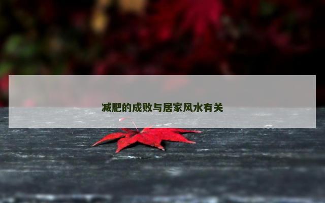 减肥的成败与居家风水有关