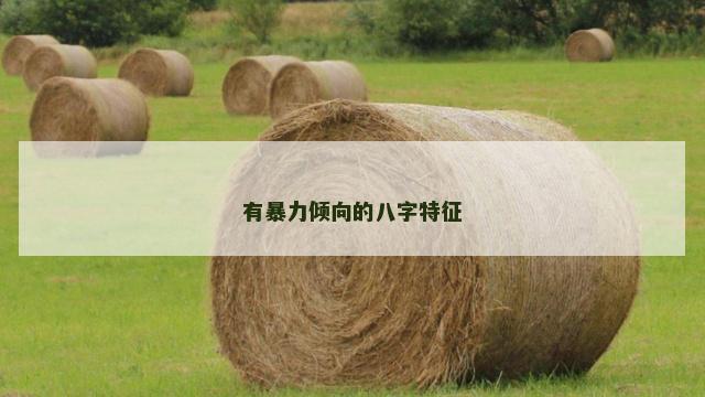 有暴力倾向的八字特征
