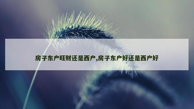房子东户旺财还是西户,房子东户好还是西户好