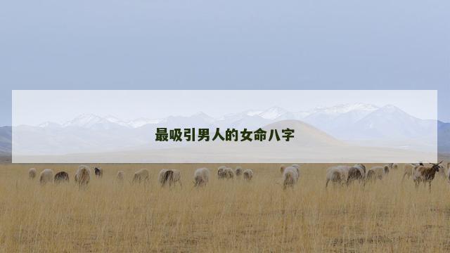 最吸引男人的女命八字