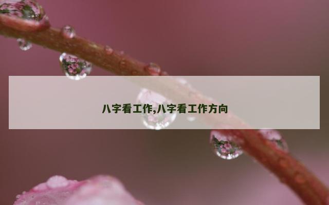八字看工作,八字看工作方向