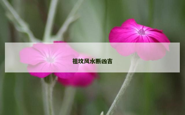 祖坟风水断凶吉