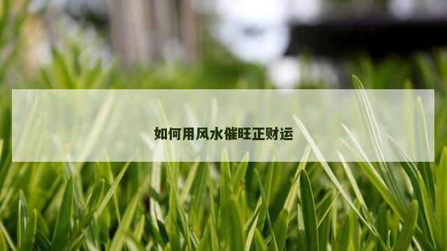 如何用风水催旺正财运