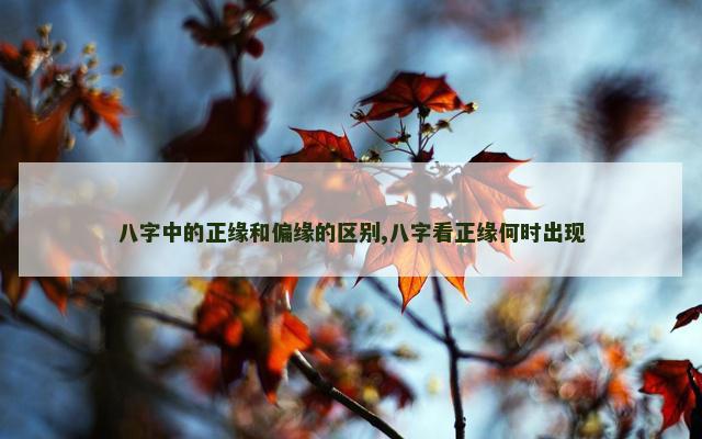 八字中的正缘和偏缘的区别,八字看正缘何时出现