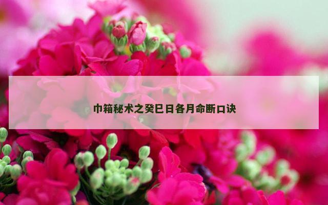 巾箱秘术之癸巳日各月命断口诀
