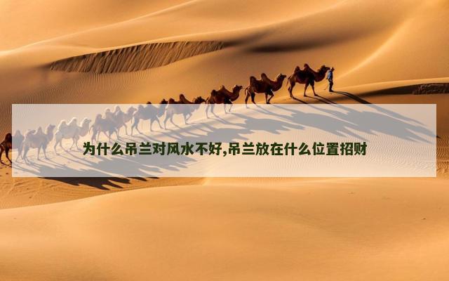 为什么吊兰对风水不好,吊兰放在什么位置招财
