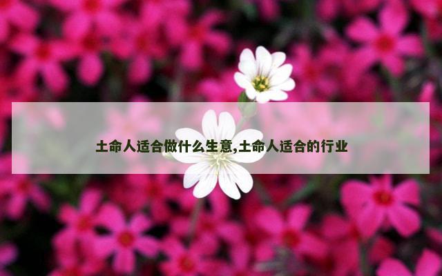 土命人适合做什么生意,土命人适合的行业