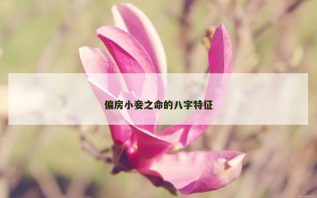 偏房小妾之命的八字特征