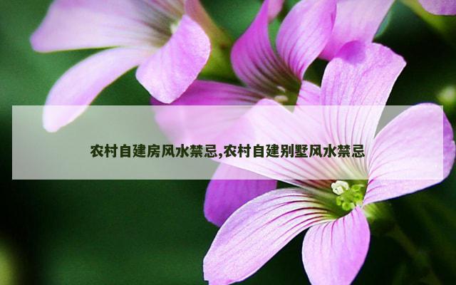 农村自建房风水禁忌,农村自建别墅风水禁忌