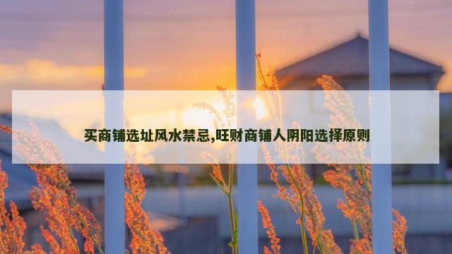 买商铺选址风水禁忌,旺财商铺人阴阳选择原则