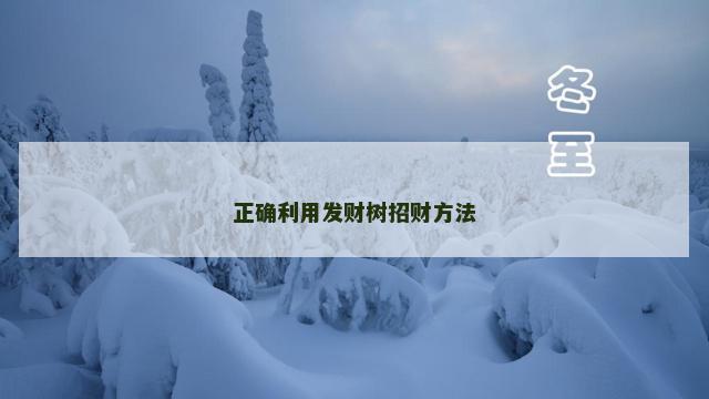 正确利用发财树招财方法