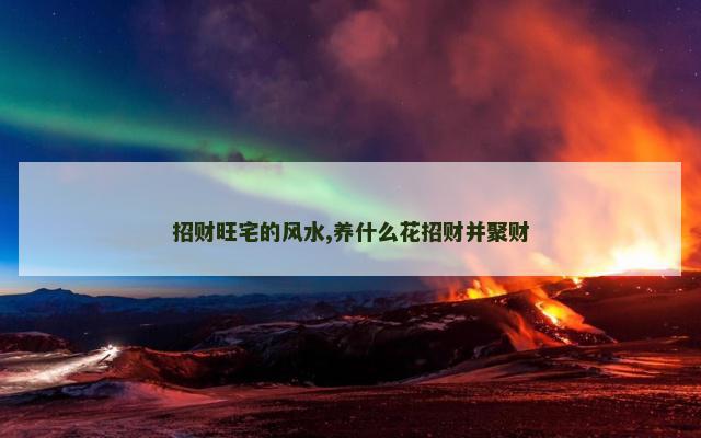 招财旺宅的风水,养什么花招财并聚财