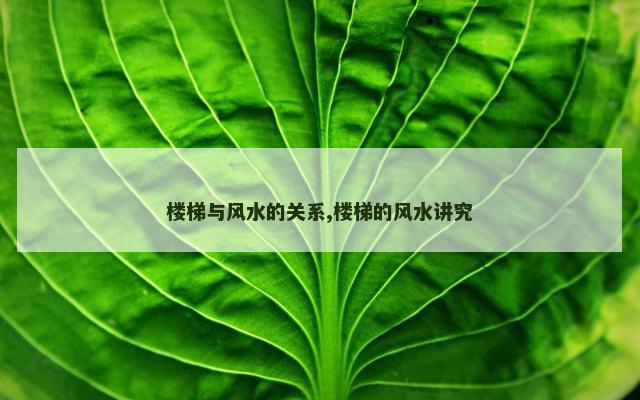 楼梯与风水的关系,楼梯的风水讲究