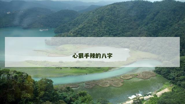 心狠手辣的八字