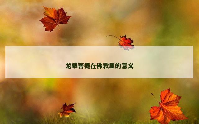 龙眼菩提在佛教里的意义