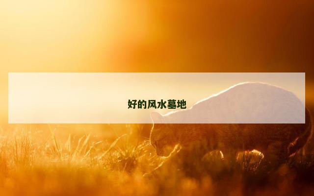 好的风水墓地