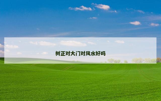 树正对大门对风水好吗