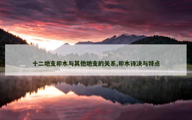 十二地支卯木与其他地支的关系,卯木诗决与特点