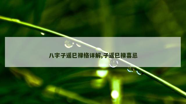八字子遥巳禄格详解,子遥巳禄喜忌