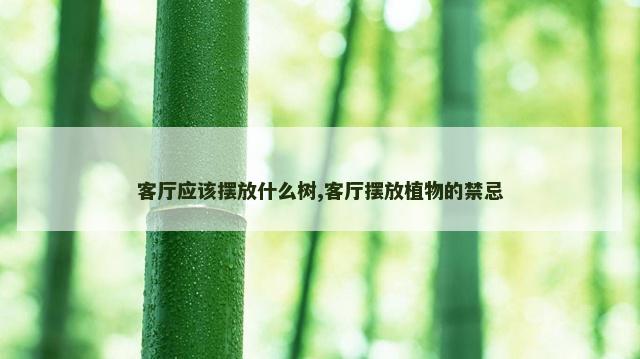 客厅应该摆放什么树,客厅摆放植物的禁忌