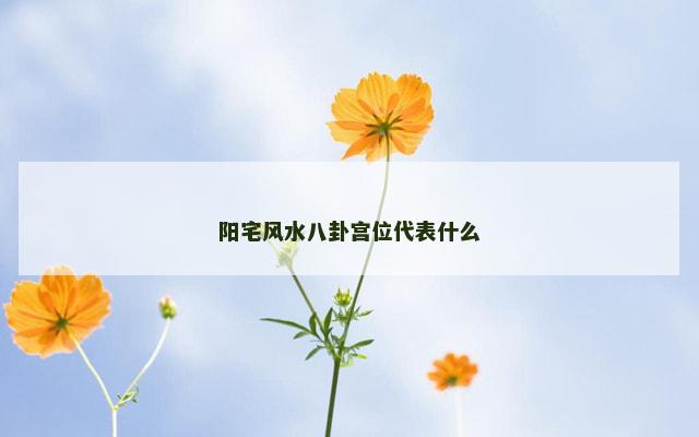 阳宅风水八卦宫位代表什么