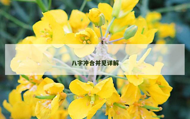 八字冲合并见详解