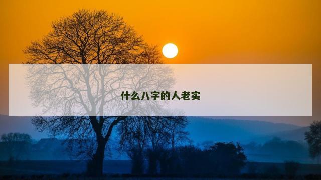 什么八字的人老实