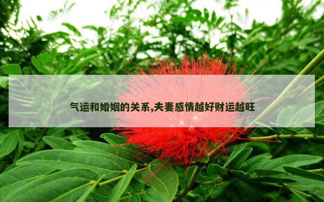 气运和婚姻的关系,夫妻感情越好财运越旺