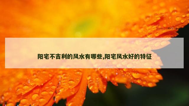 阳宅不吉利的风水有哪些,阳宅风水好的特征